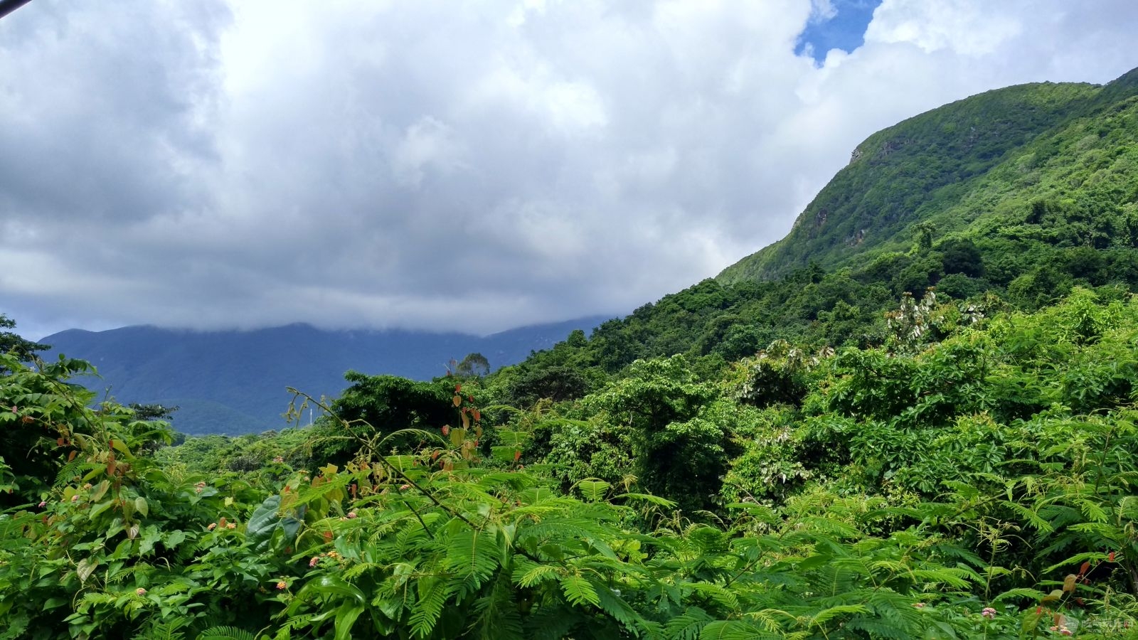 登高远望，岛上的风景.jpg