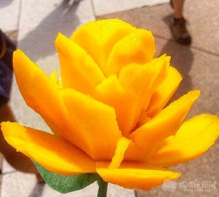 QQ20170615-135142.jpg