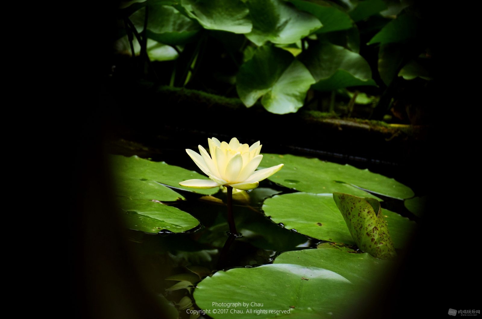 DSC_0939_副本.jpg