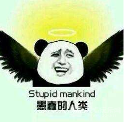 图片11.png