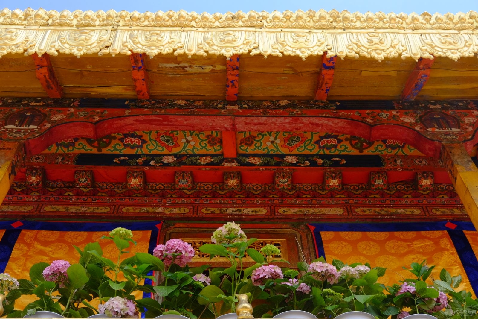 SGYA9319.jpg