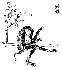 图片19.png