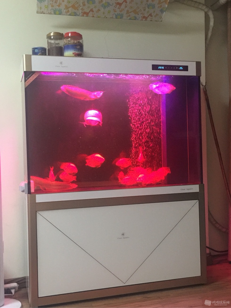 122016se44w4qyby650067.jpg