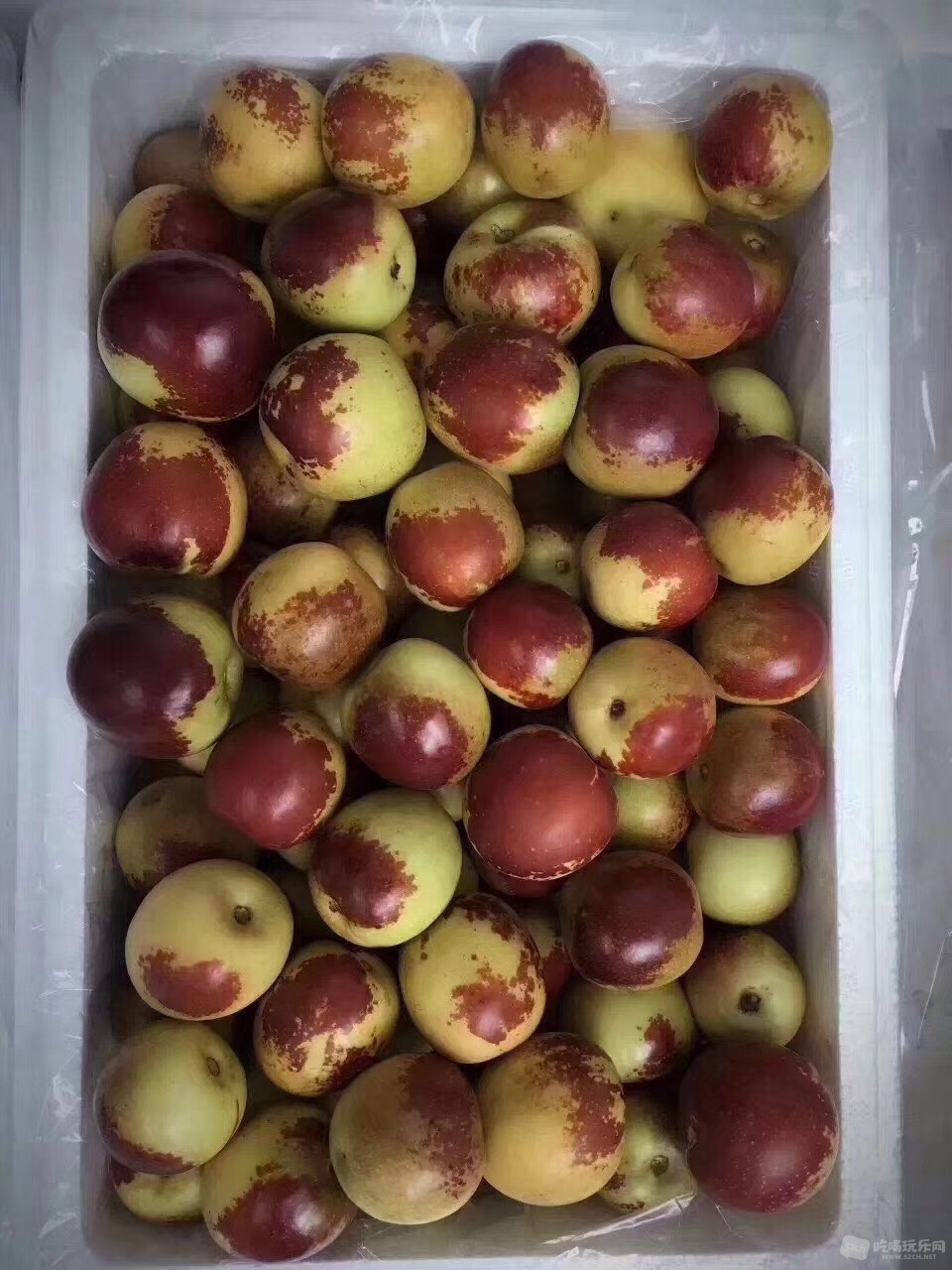 082430xygoyipnz40ka0u0.jpg