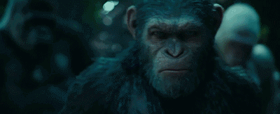 11.gif