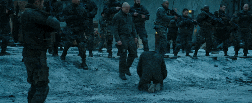 11.gif