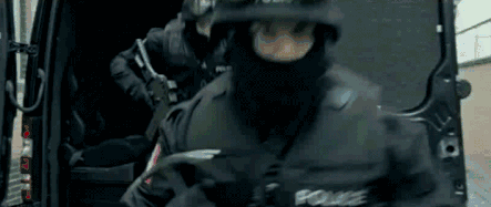 11.gif