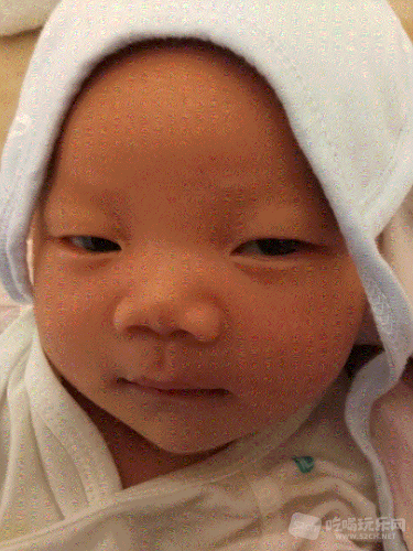 1504100946549.gif