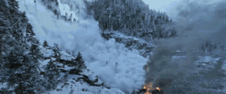 11.gif