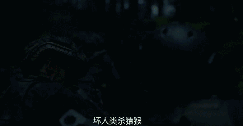 11.gif
