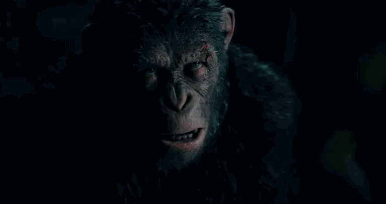 11.gif