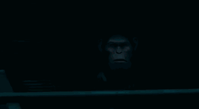 11.gif