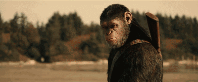 11.gif