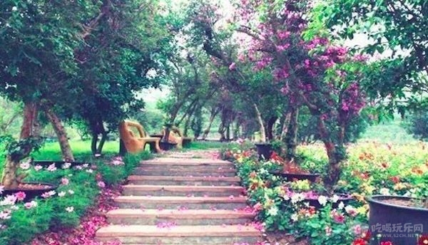 20F05FEC-3DD9-4233-B6CB-86FD857E69C1.jpeg