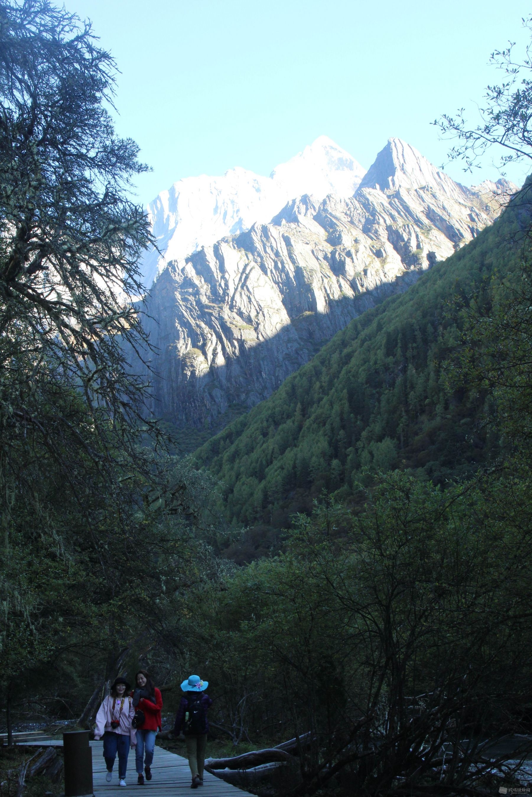 IMG_1265.jpg
