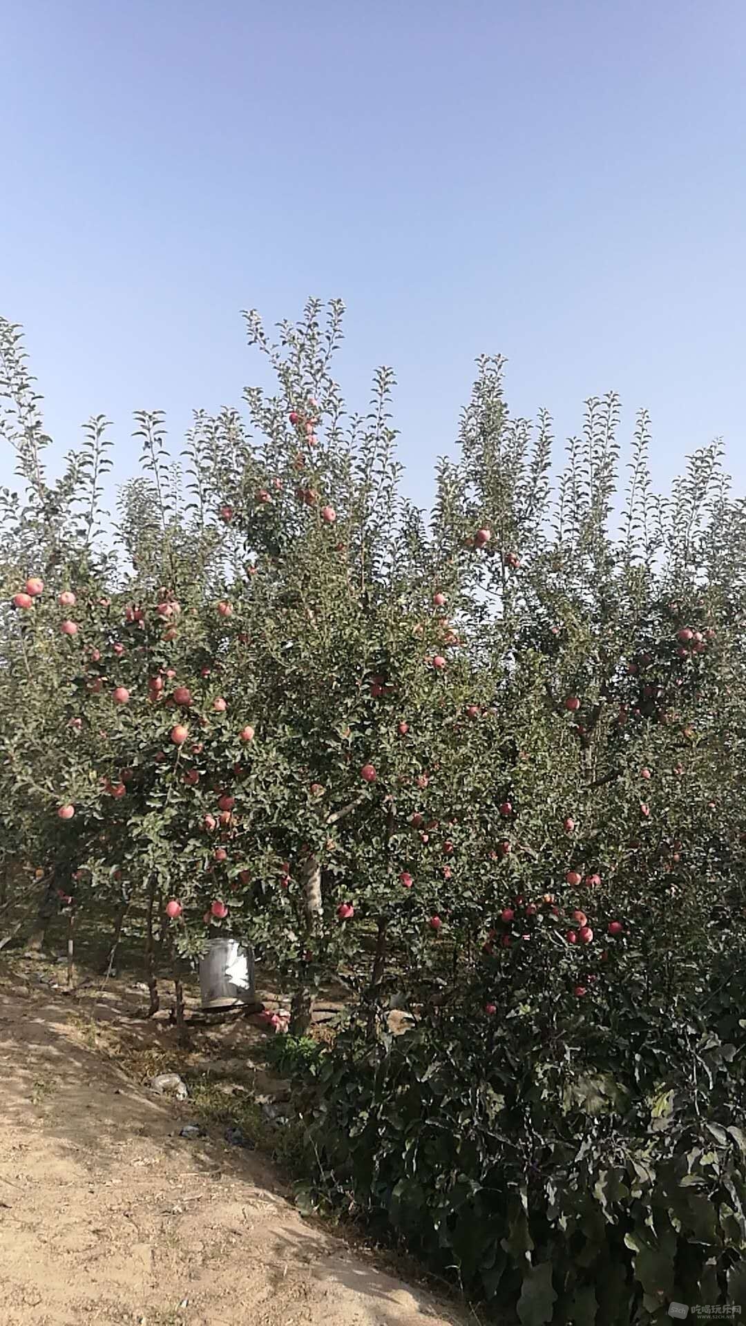 QQ图片20171019105623.jpg