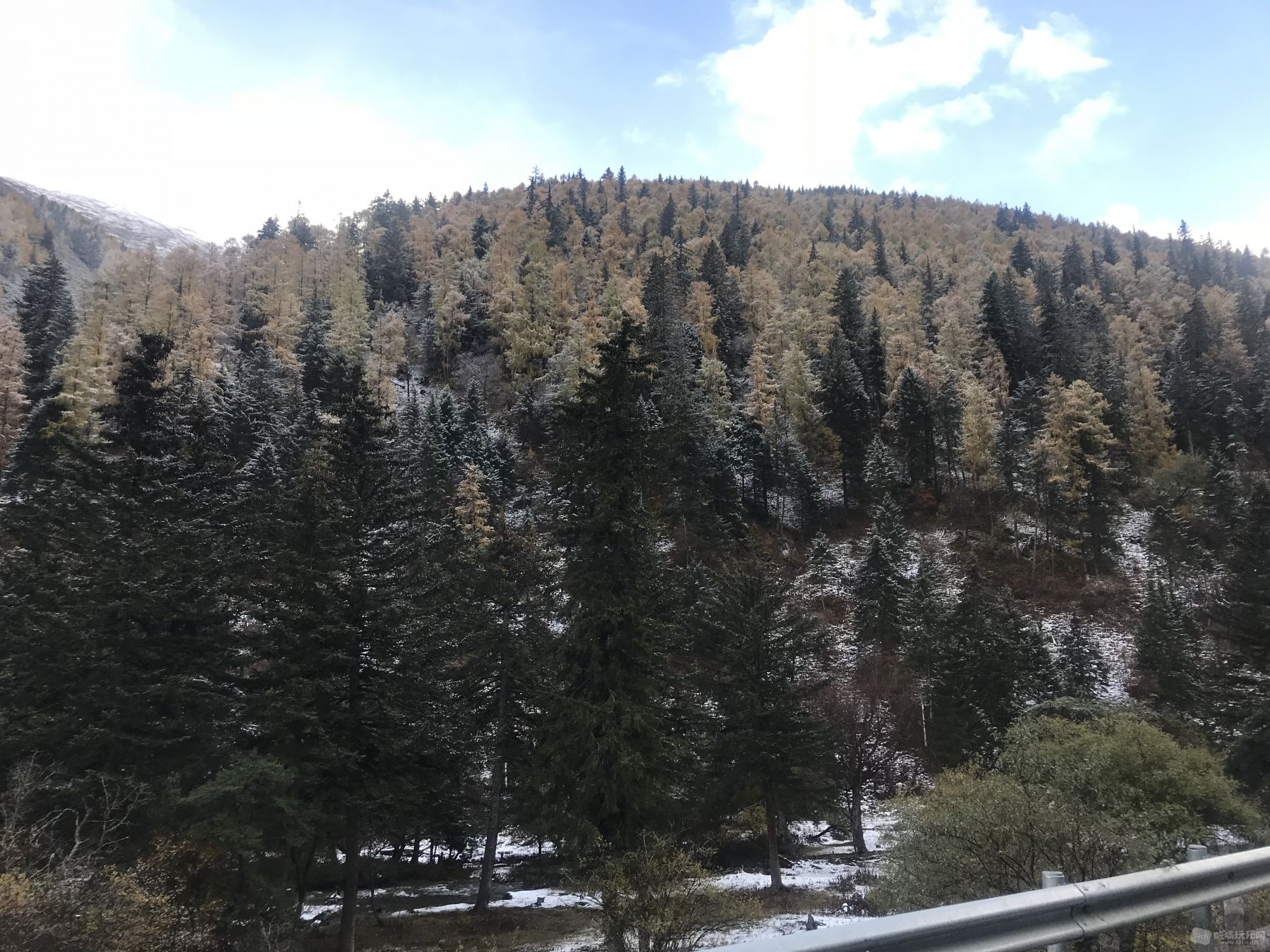 彩林还未来得及谢幕，大雪降临