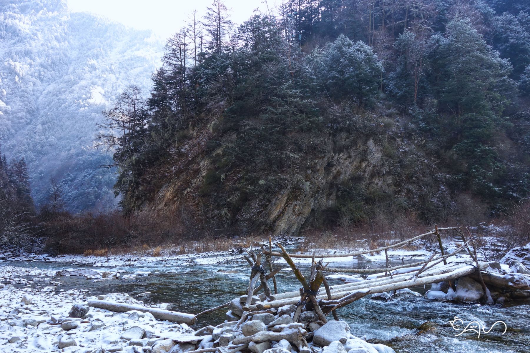 DSC03979-01.jpg