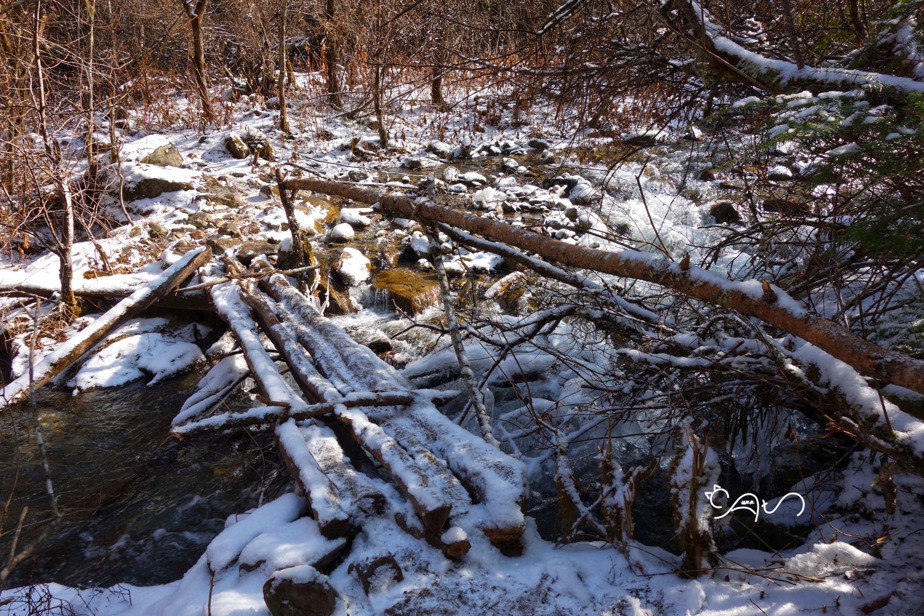DSC04221-01.jpg