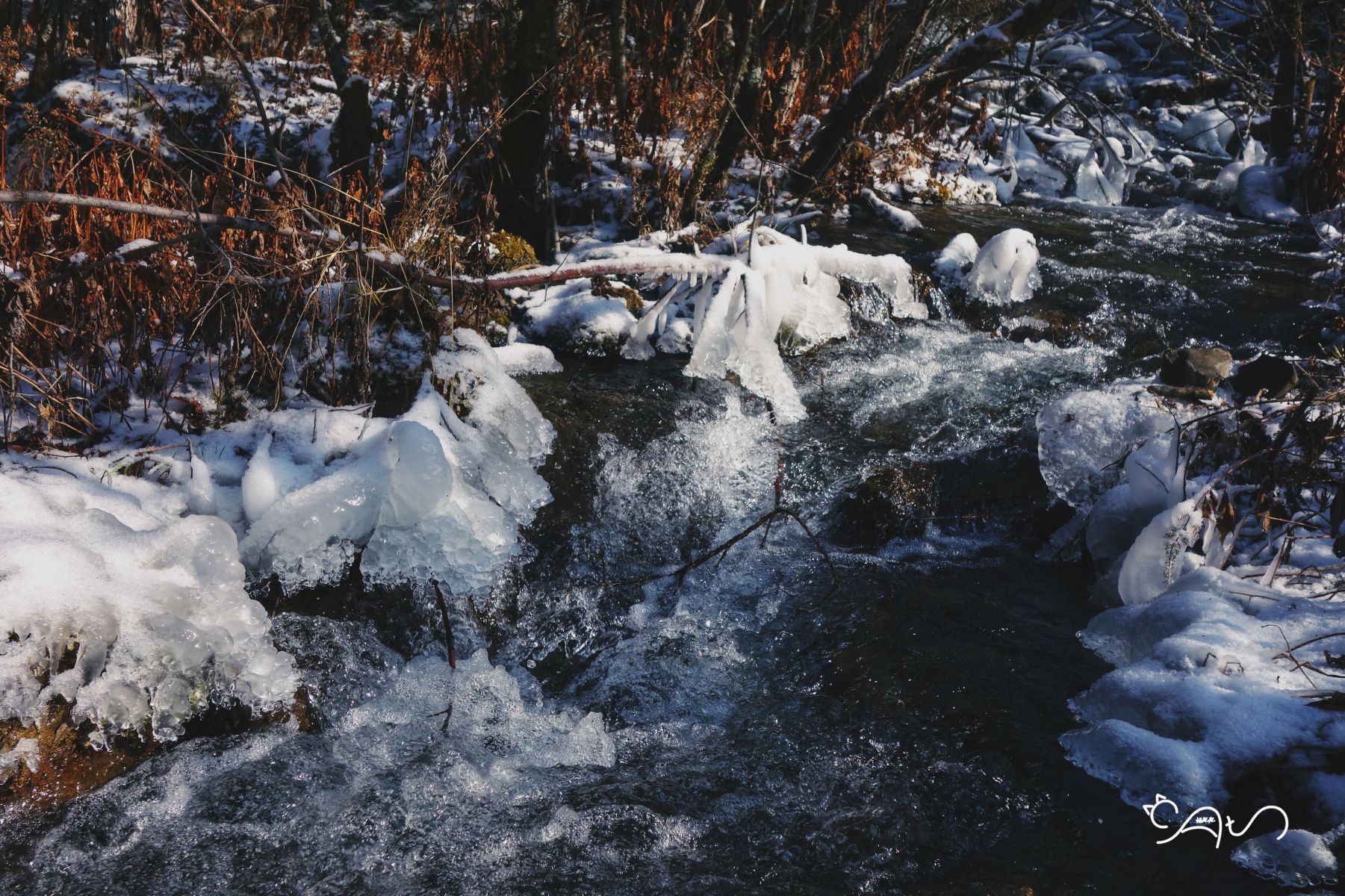 DSC04381-01.jpg
