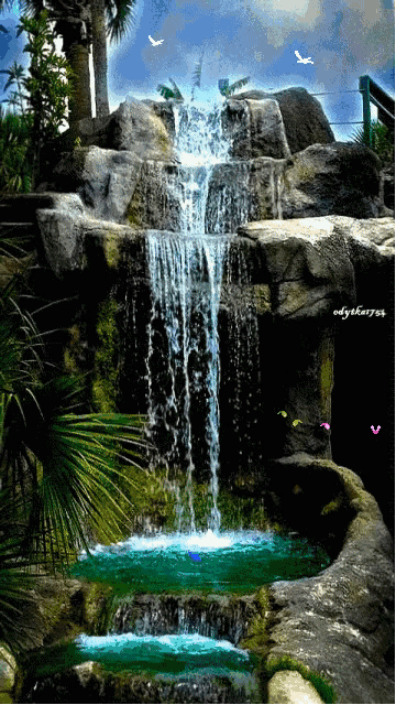 5.gif