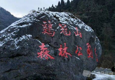 QQ截图20180128102853.png