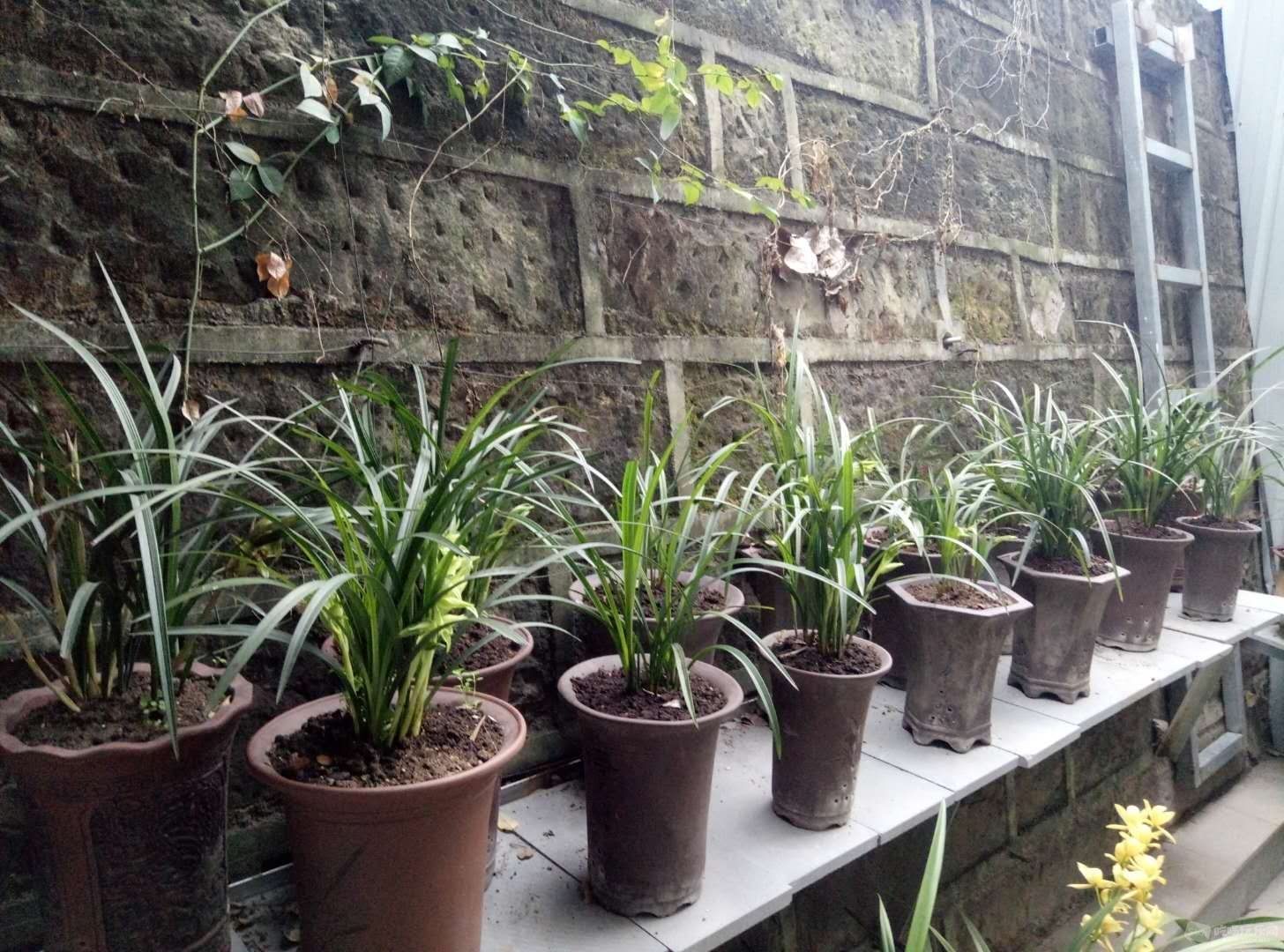 微信图片_20180223164403.jpg