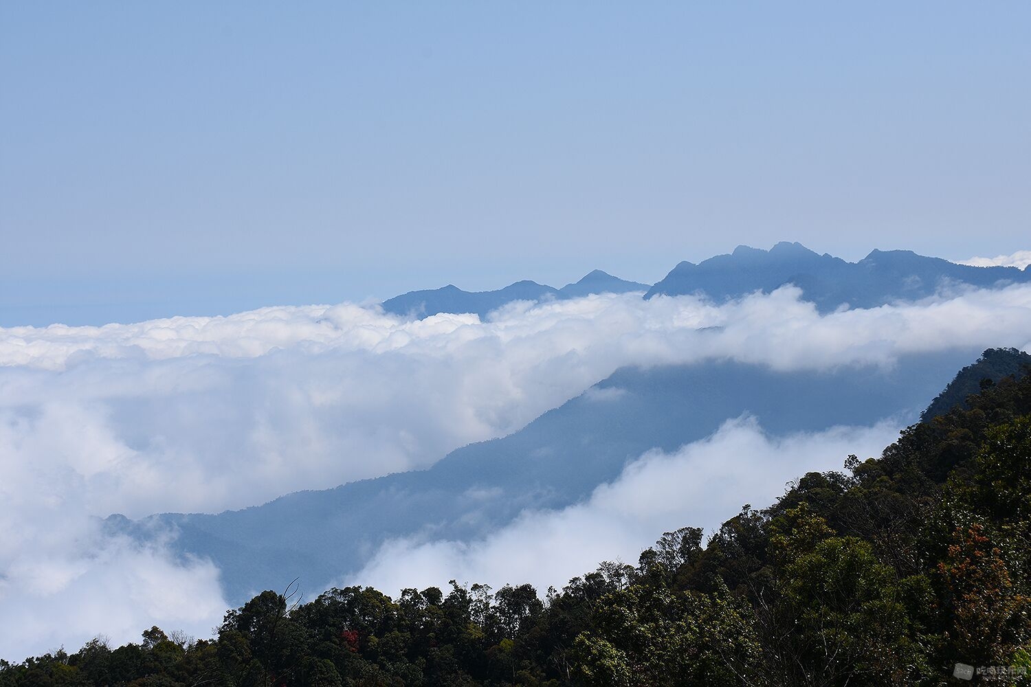 登上山顶，海拔1400