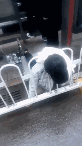 11.gif