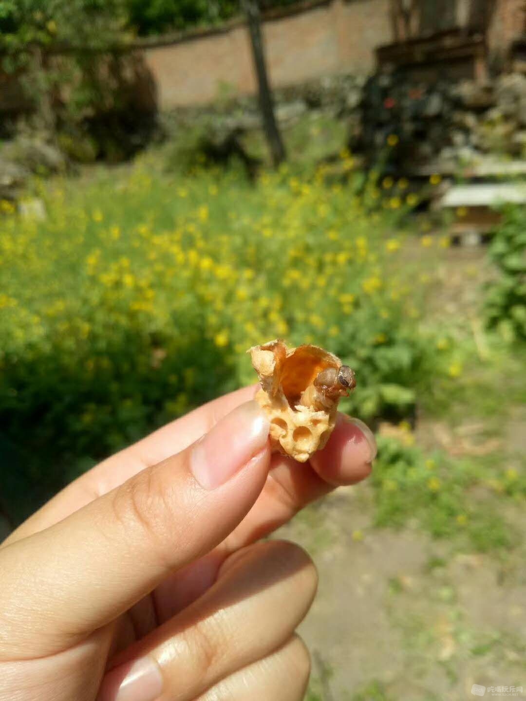 微信图片_20180418113143.jpg