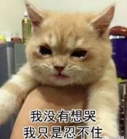 E7E2C6BB-571B-42DF-9503-25B426E4B0D1.png