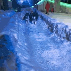 11.gif