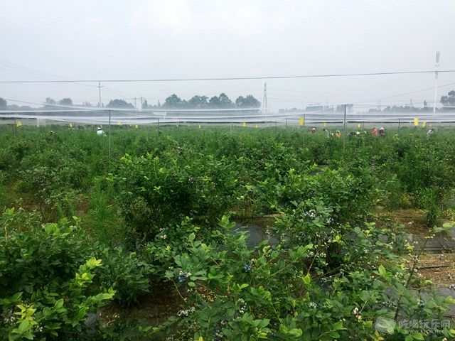 微信图片_20180528150447.jpg