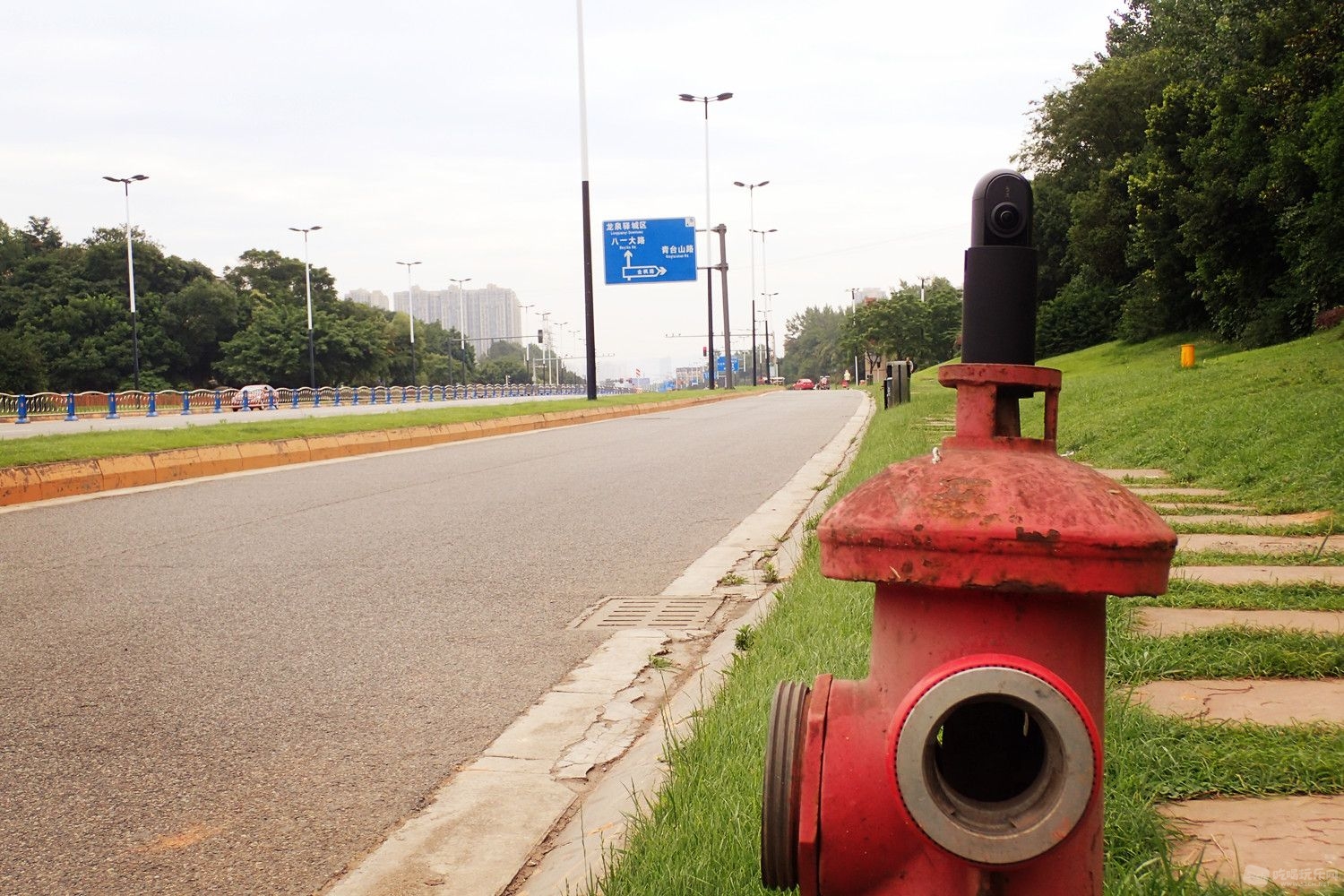 P6192362.JPG