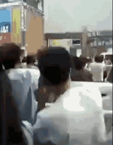 8.gif