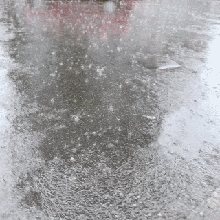1530493020096588463.gif