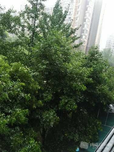 IMG_20180702_104920.jpg