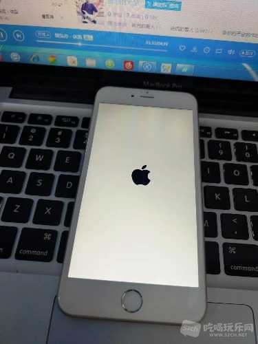 mmexport1530892688603.jpg