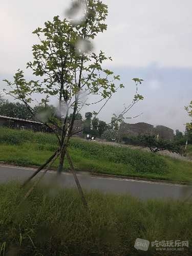 IMG_20180726_135051.jpg