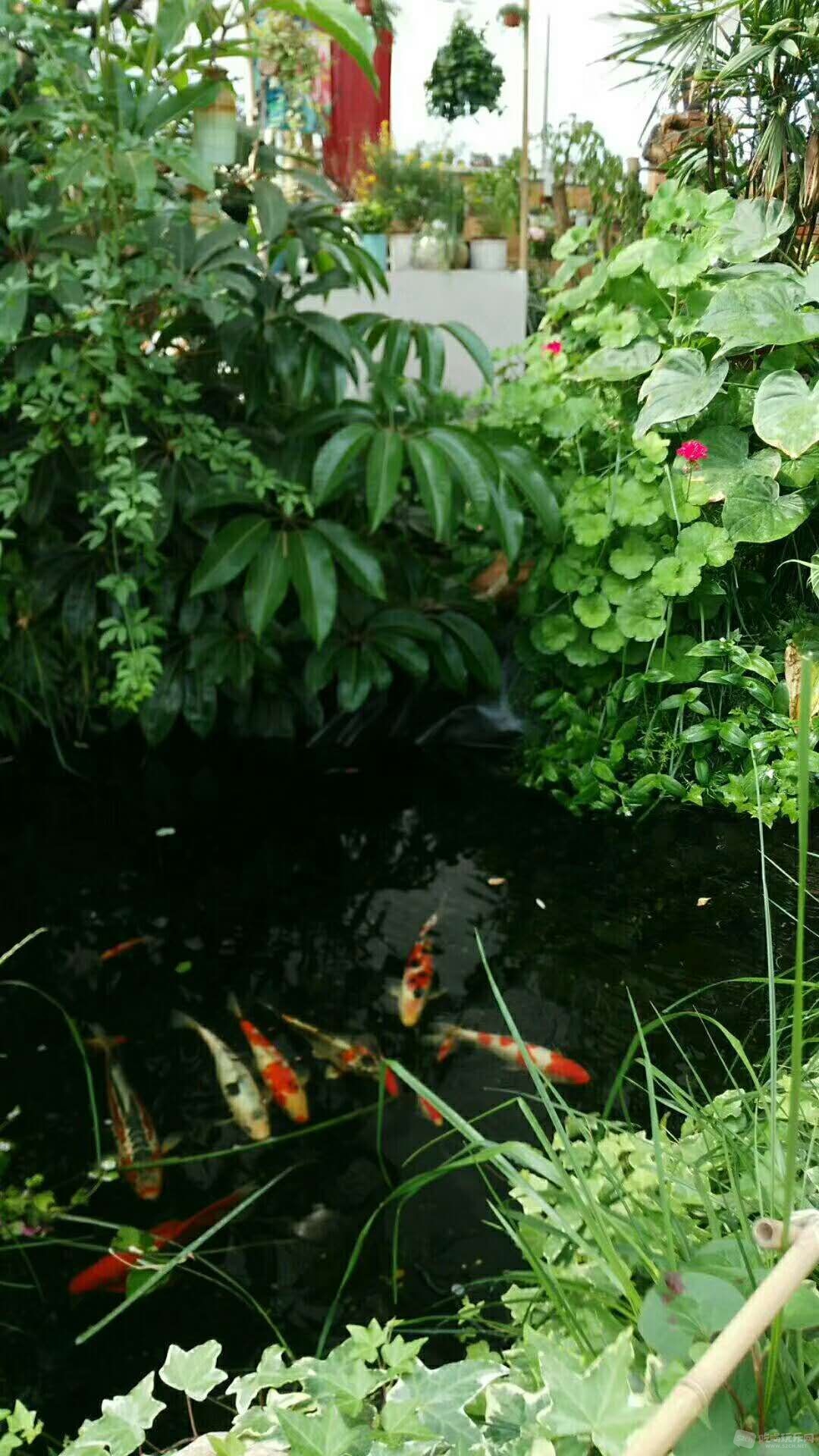 微信图片_20180905104543.jpg