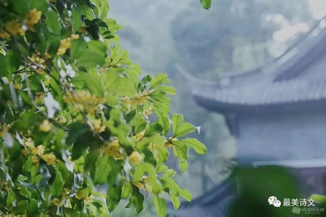 QQ图片20180913144653.jpg