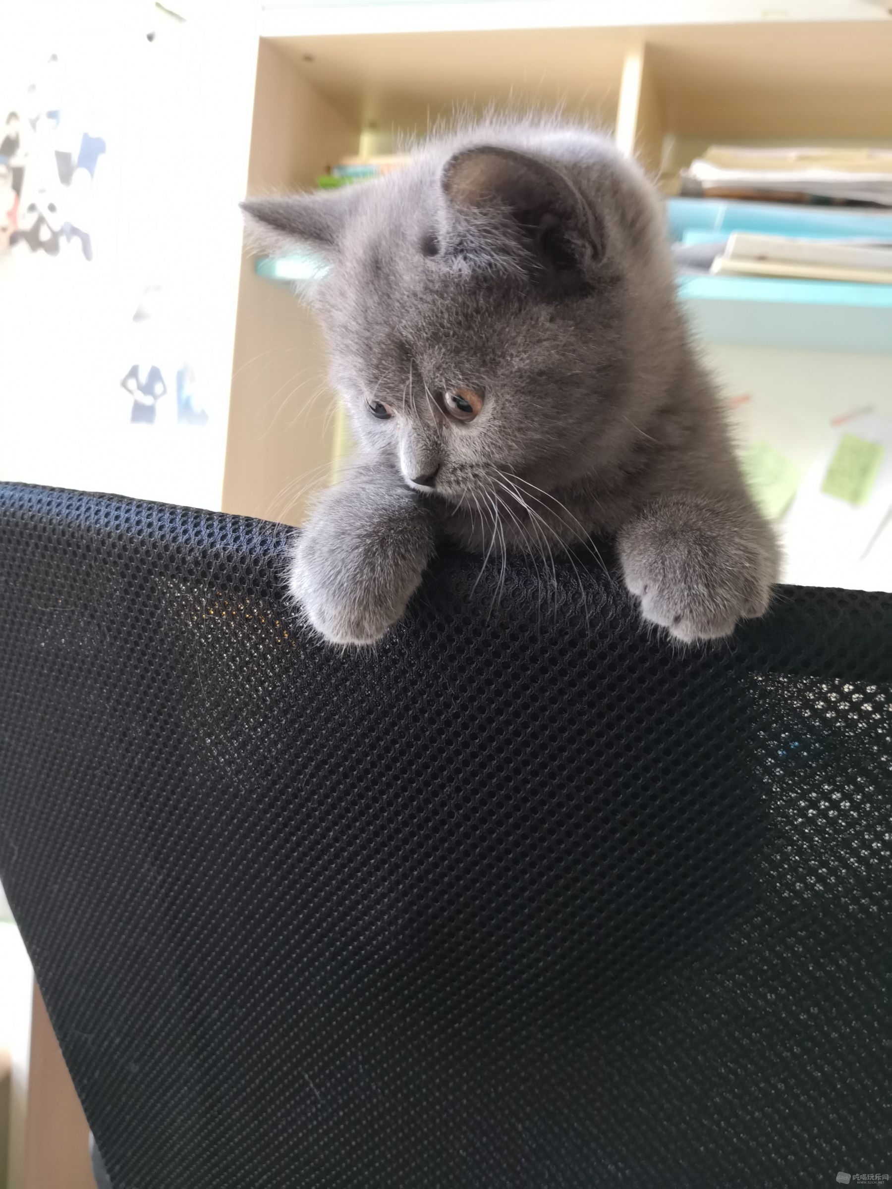 微信图片_20181026170441.jpg