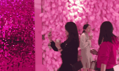12.gif
