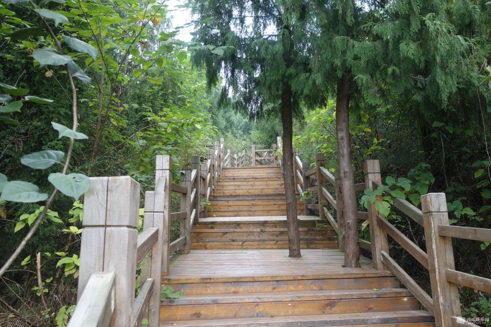 image003.jpg