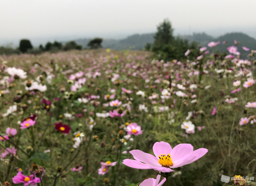 image007.png