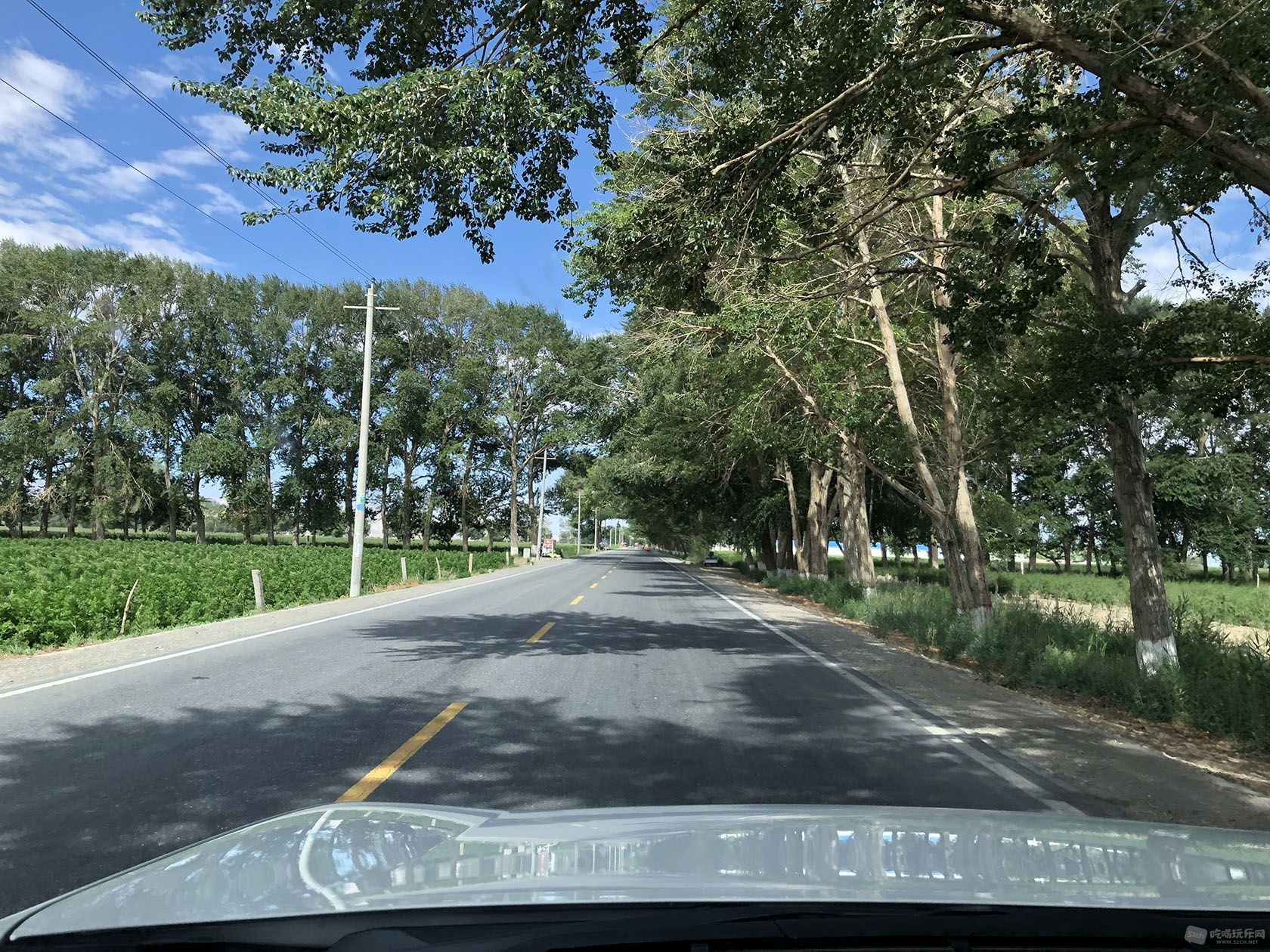 出城还有绿色 两边瓜果很多