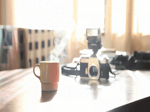 2.gif