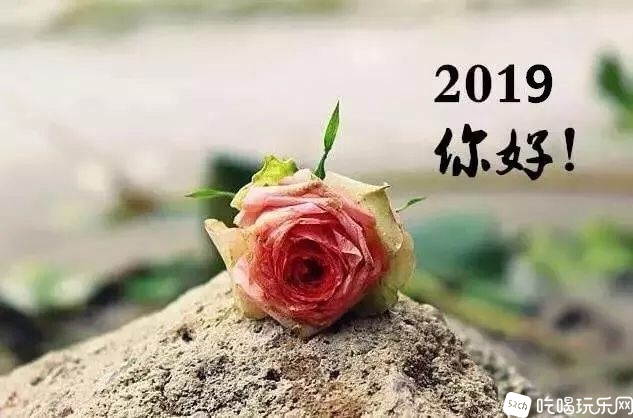 QQ图片20190102160355.jpg
