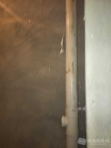 IMG20181230100707.jpg