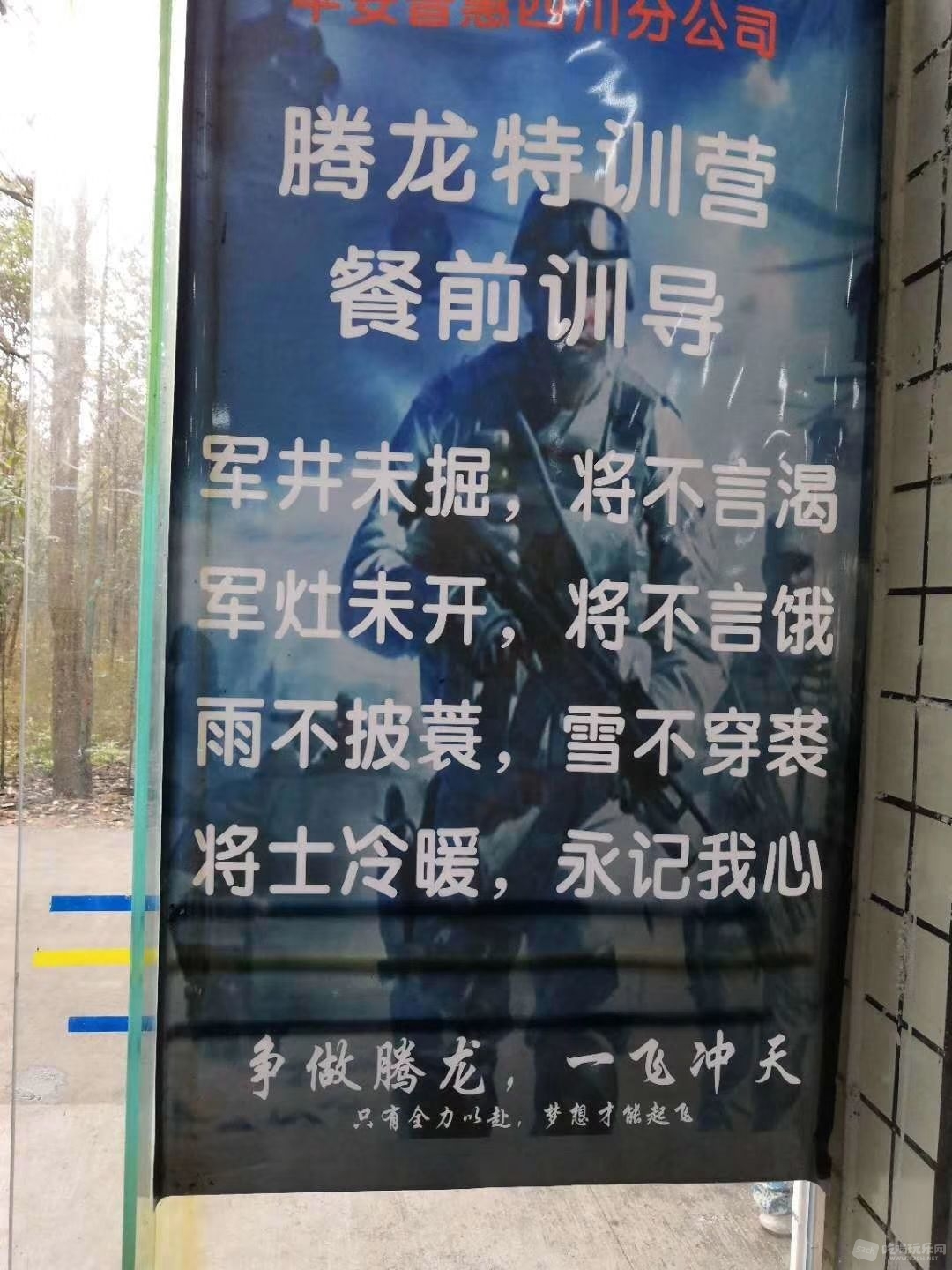 332714423366408554.jpg